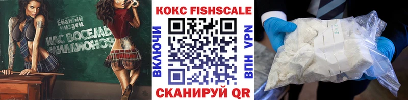 как найти закладки  Злынка  Кокаин Эквадор 