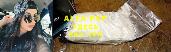 стаф Алзамай