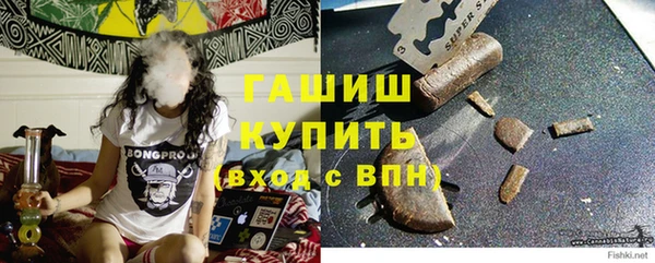 стаф Алзамай
