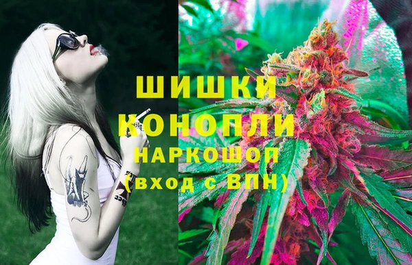 стаф Алзамай