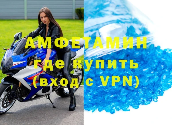 стаф Алзамай