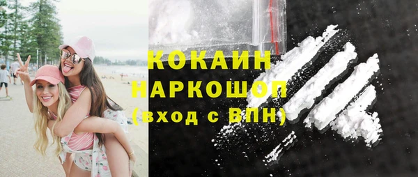 стаф Алзамай