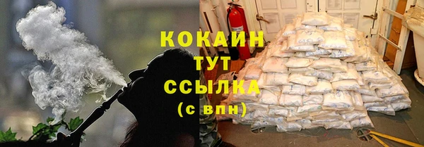 стаф Алзамай