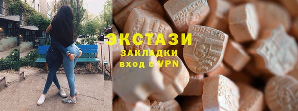 стаф Алзамай