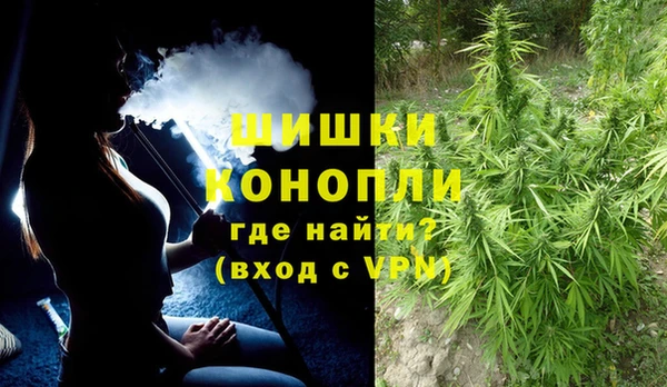 спайс Алексин