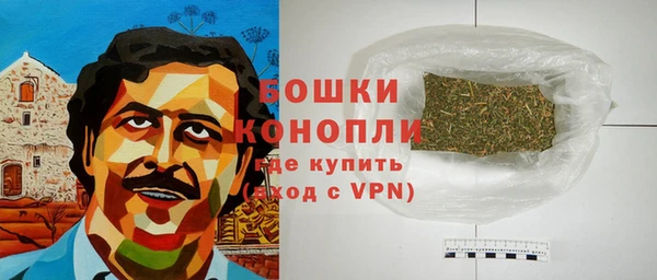 спайс Алексин