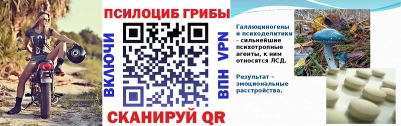 Галлюциногенные грибы мухоморы  МЕГА как зайти  Злынка  дарнет шоп 